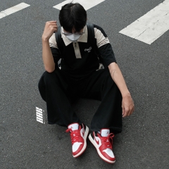 AIR JORDAN 1 LOW " REVERSE BLACK TOE ( DC0774 160)
