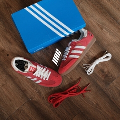 SAMBA OG " TALCHUM PACK" IG8905
