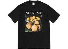 SUPREME FW18 STILL LIFE T-SHIRT BLACK