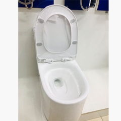 Bệt Liền Khối Obiste BET_079