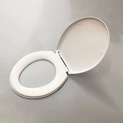 Nắp Bồn Cầu Thường Dày NTHA_02