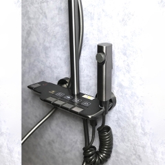 Sen Cây Tắm Đứng Thông Minh OB_9012D