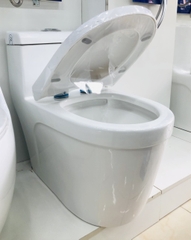 Bệt Liền Khối BET_803