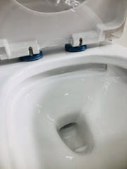 Bệt Liền Khối BET_803