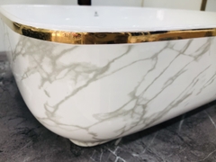 Chậu Dương Vân Viền Vàng