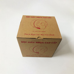 Hộp Giấy Nhựa Cao Cấp HGN_01