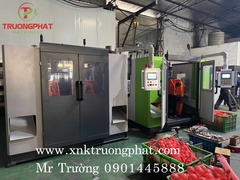 Máy thổi nhựa HDPE PP trục 80 full thuỷ lực