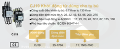 CJ19 - Khởi Động Từ Cho Tụ Bù