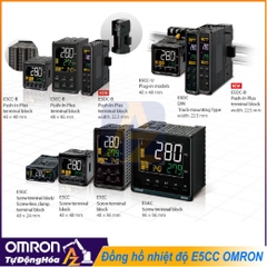 Bộ điều khiển nhiệt độ omron E5CC