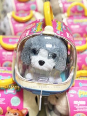 Bộ đồ chơi chăm sóc thú cưng Push Pet Mini