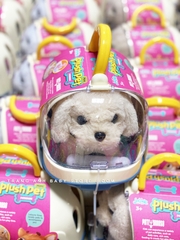 Bộ đồ chơi chăm sóc thú cưng Push Pet Mini