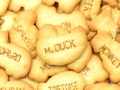 Bánh quy bổ sung DHA Ginbis (1 tuổi+)