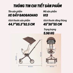 Xe đẩy BAOBAOHAO V13