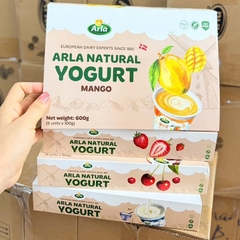 Sữa chua nguội Arla vỉ 6 hộp x 100gr (1 tuổi+)