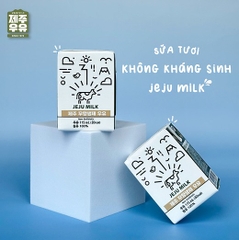 Thùng 24 hộp sữa Jeju không kháng sinh