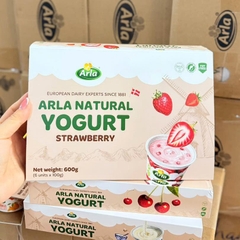 Sữa chua nguội Arla vỉ 6 hộp x 100gr (1 tuổi+)