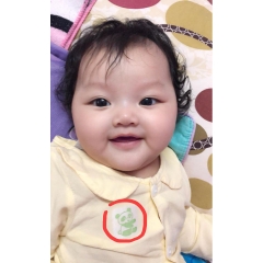 Miếng dán chống muỗi Nhật