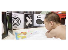 Bộ thẻ kích thích thị giác cho bé