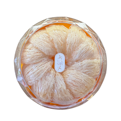 Tổ Yến rút lông cao cấp 100g