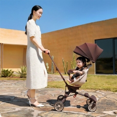 Xe đẩy BAOBAOHAO V7