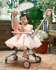 Xe đẩy gấp gọn Tobe Olwen Plus có mái che