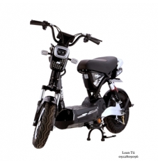 XE MÁY ĐIỆN DK BIKE 133M
