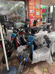 XE MÁY ĐIỆN DK BIKE 133M
