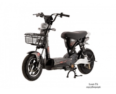 XE MÁY ĐIỆN DK BIKE 133M