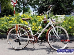 XE ĐẠP MOMENTUM INEED LATTE 26 - 2021