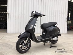 XE TAY GAS CHẠY XĂNG DIBAO PANSY XS