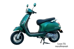 XE TAY GAS CHẠY XĂNG DIBAO PANSY XS