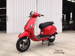 XE TAY GAS CHẠY XĂNG DIBAO PANSY XS