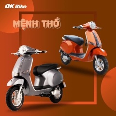 XE MÁY ĐIỆN ROMA SX