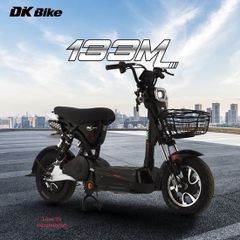XE MÁY ĐIỆN DK BIKE 133M