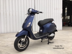 XE TAY GAS CHẠY XĂNG DIBAO PANSY XS