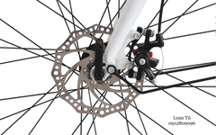 XE ĐẠP THỂ THAO  FONIX FR307