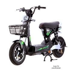 XE MÁY ĐIỆN DK BIKE 133M