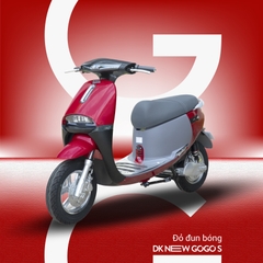 XE MÁY ĐIỆN DK GOGO