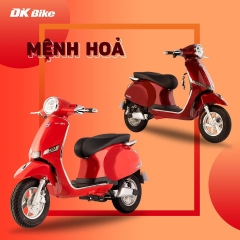 XE MÁY ĐIỆN ROMA SX