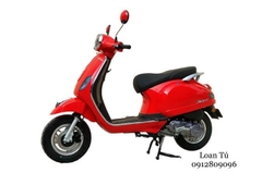 XE TAY GAS CHẠY XĂNG DIBAO PANSY XS