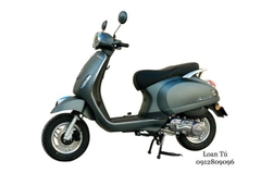 XE TAY GAS CHẠY XĂNG DIBAO PANSY XS