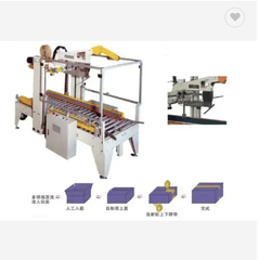 Máy dán thùng carton DPSM05