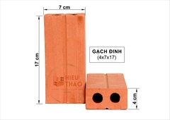 Gạch Đinh Xây Dựng 2 Lỗ (8x18)
