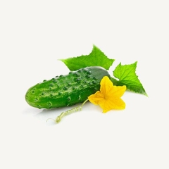 Dưa Chuột Gai Siêu Giòn