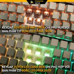 Keycap xuyên led Side Print Gradient Black Green