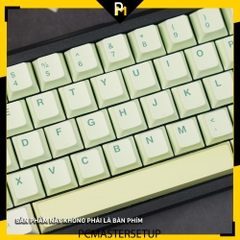 Keycap Ginkgo chất liệu nhựa pbt profile cherry công nghệ in dyesub không mờ 