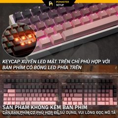 Keycaps xuyên led TOP PRINT - Black Pink ( OEM/ PBT/ Doubleshot )