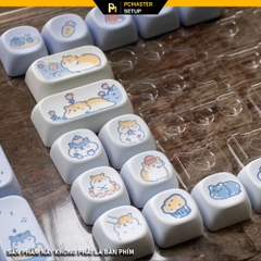 Keycaps pbt Subao ( profile MOA/PBT/dyesub 5D )