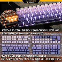 Keycap xuyên led SidePrint Violet ( Profile OEM/ PBT/DoubleShot )