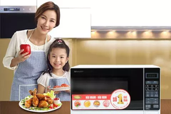 7 yếu tố cần lưu ý để mua được chiếc lò vi sóng chất lượng tốt, bền đẹp